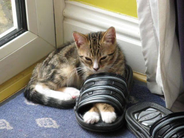 虚拟交锋,当格纳布里爆发遭遇威尔士式决胜局—论个人英雄主义与团队韧性的足球寓言