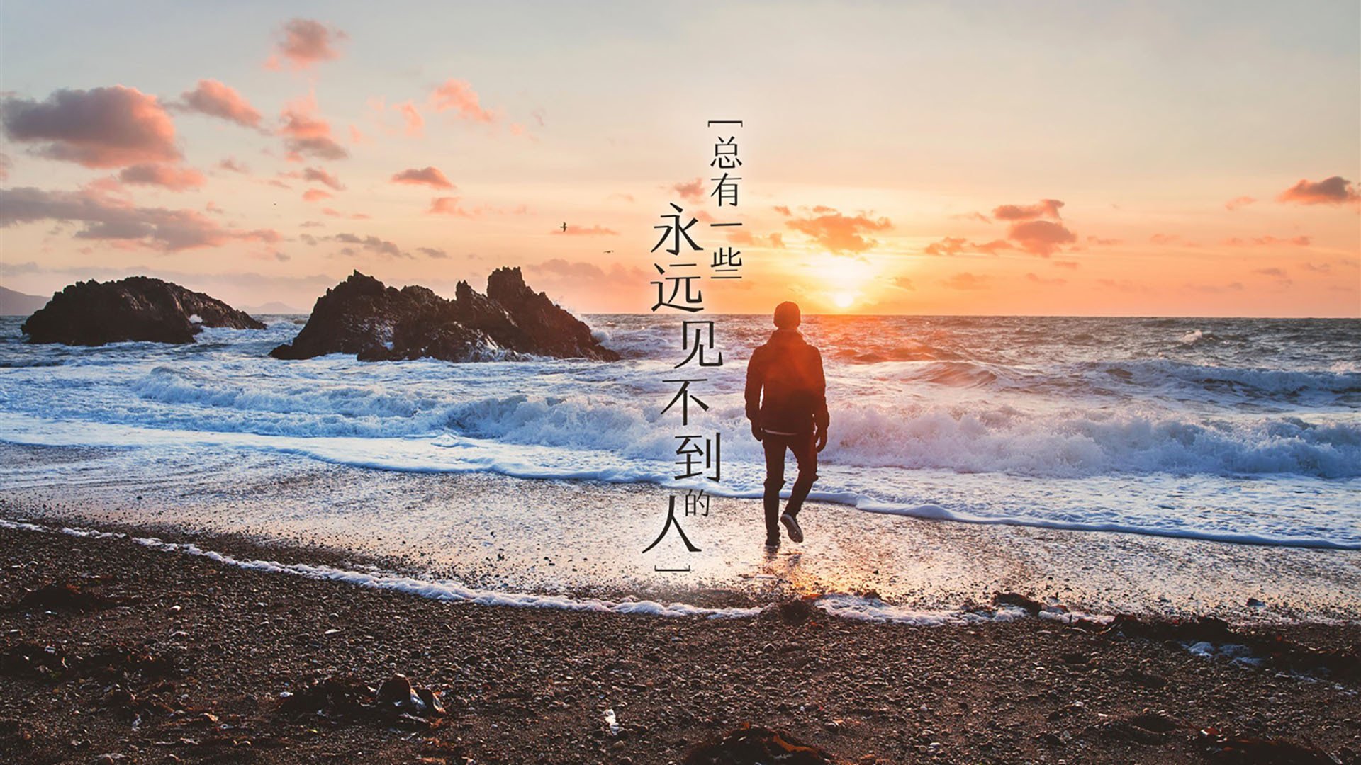 钢铁防线拆解王牌攻击群!上海队窒息防守锁定奥运关键战胜利