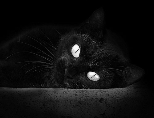 开云体育官网-魔法失灵之夜，当稳如磐石吉林队遇见无人可挡斯蒂芬·库里