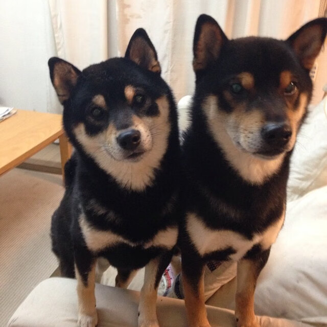 北极光下的红黑风暴,劳塔罗如何在雷克雅未克书写米兰唯一传奇