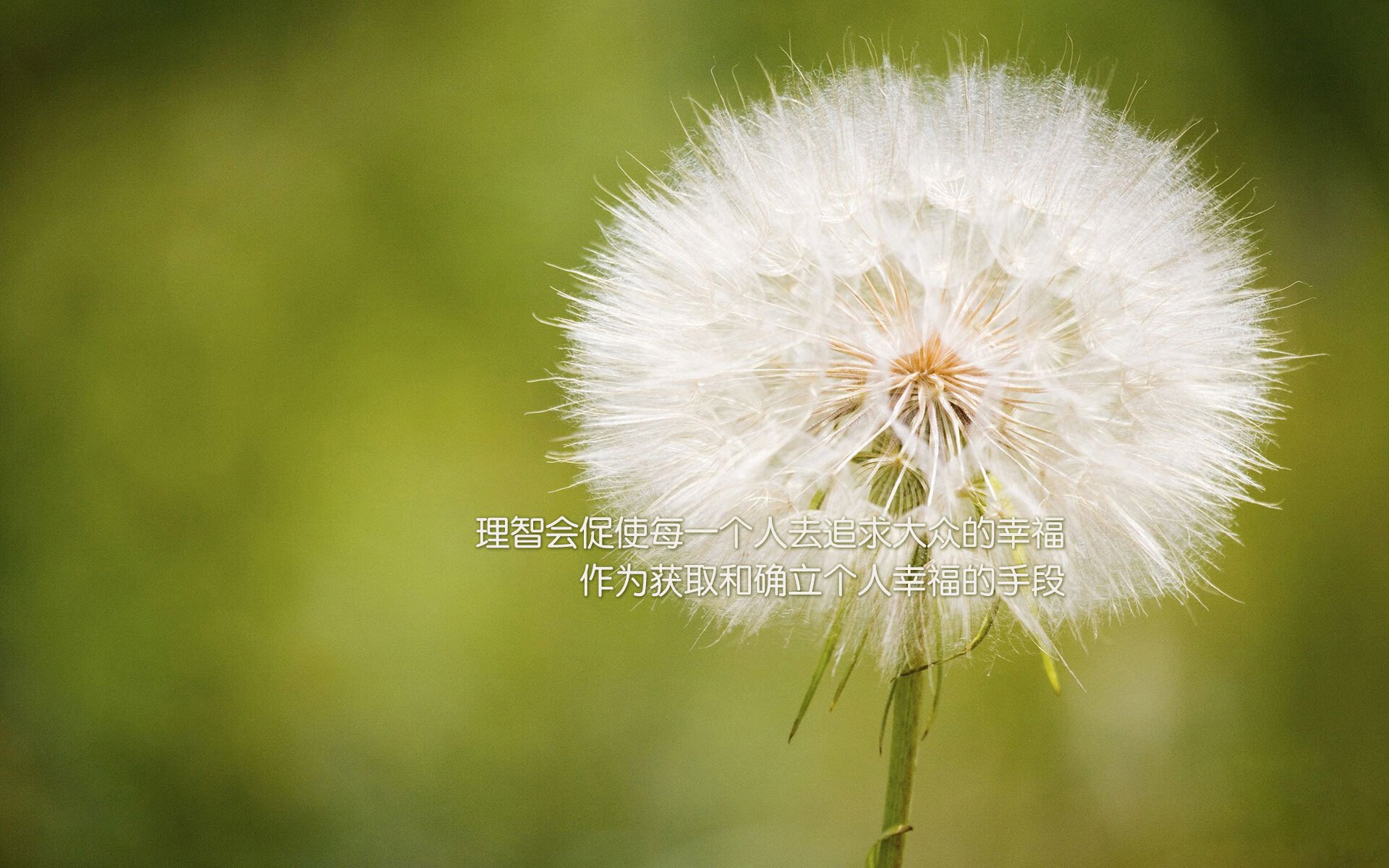 开云体育登录-滑铁卢的逆转，莫德里奇如何在一场法国式围剿中拯救曼联