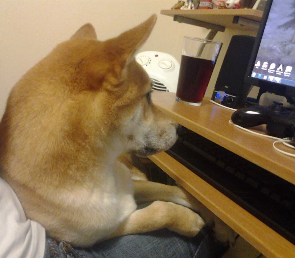 德甲争冠战之夜,贝林厄姆以节奏掌控演绎中场交响乐