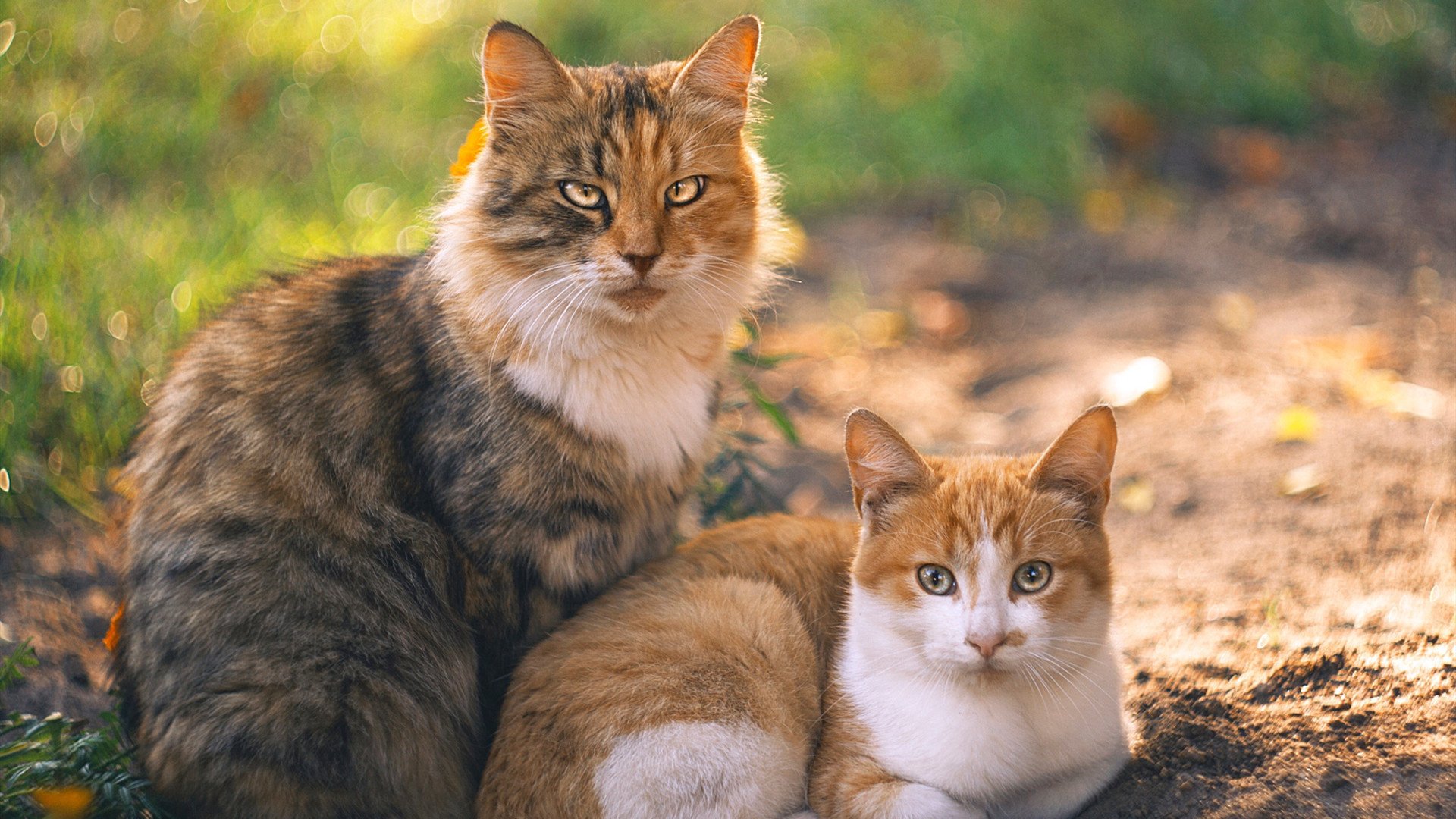 开云体育登录-撕裂天穹的第三种统治，欧冠决赛之夜的拉梅洛方程式