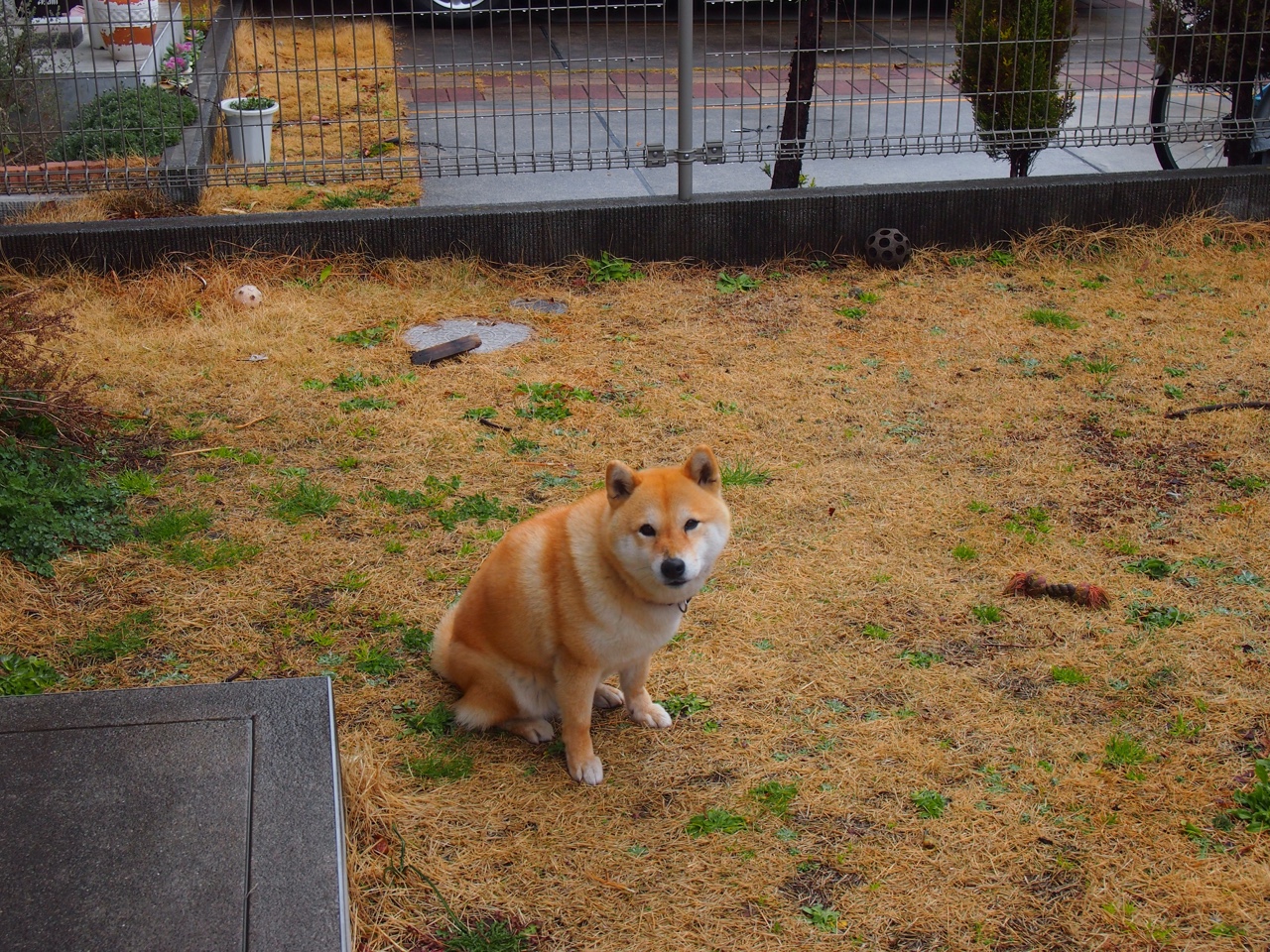 防守固若金汤,奥利维耶一剑封喉,那不勒斯锁死新西兰的关键之战