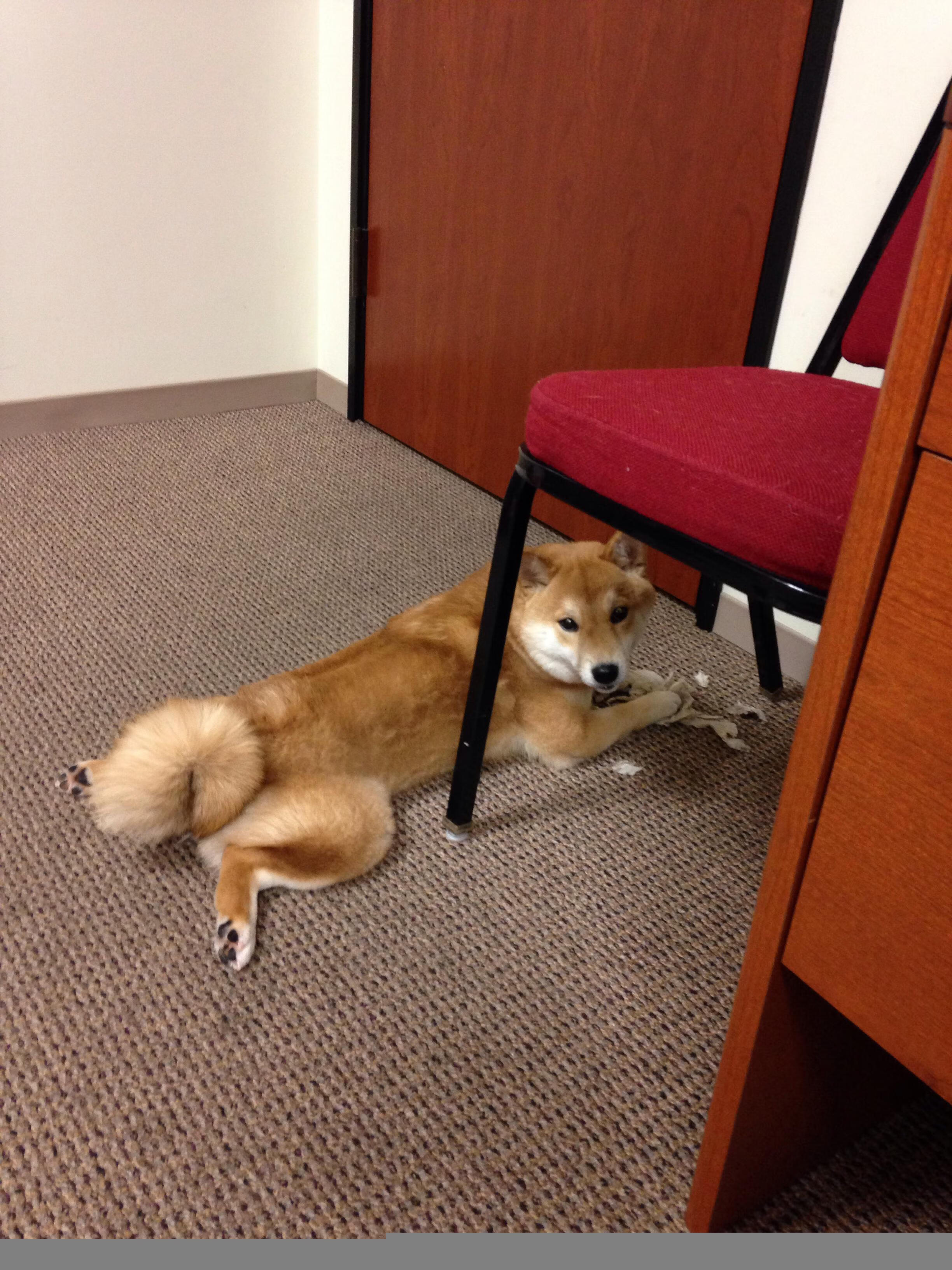 开云体育中国-铁幕横亘，窒息的艺术，冰岛如何以战术铁壁扼杀伊拉克的奥运门票梦想