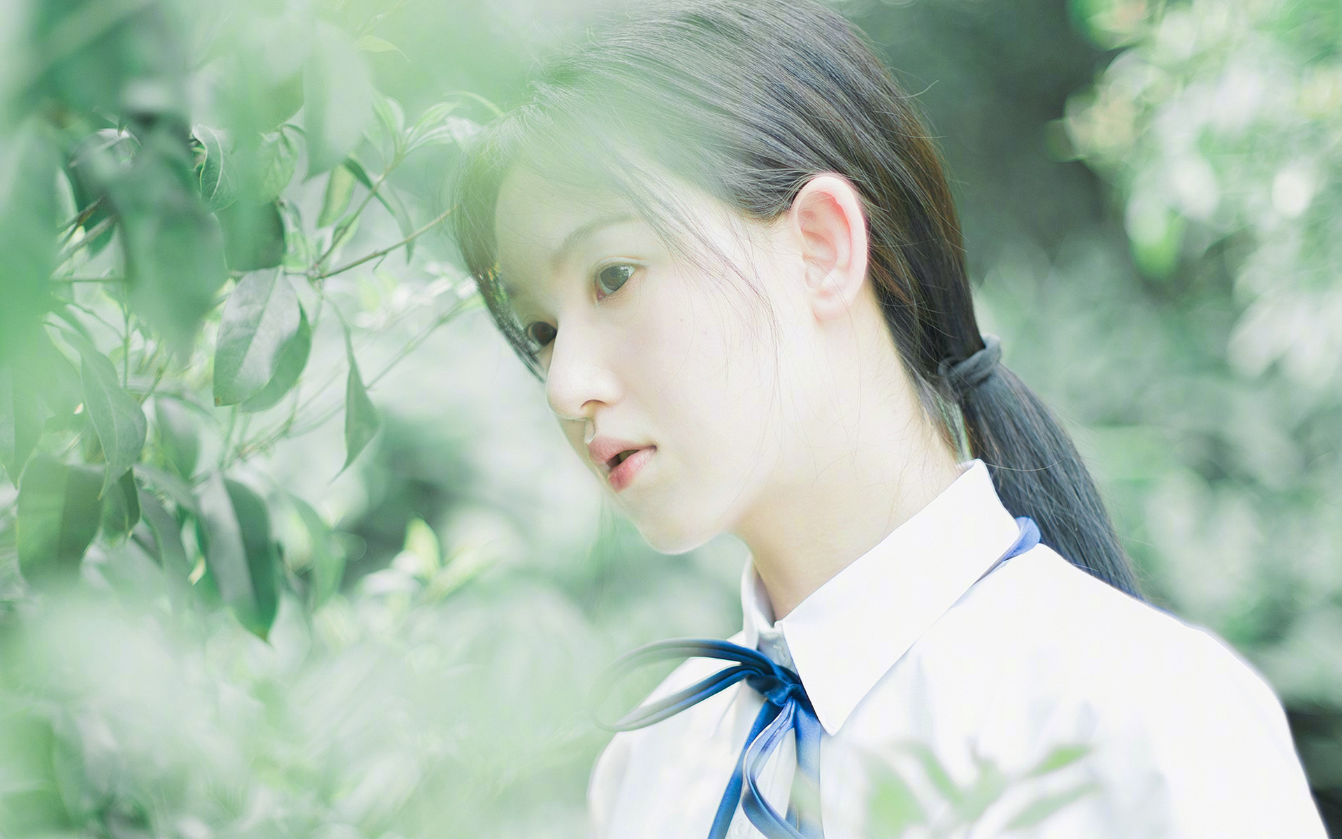 沉默的决断与喧嚣的闪电战，塔图姆的关键时刻与老鹰的提前终结艺术