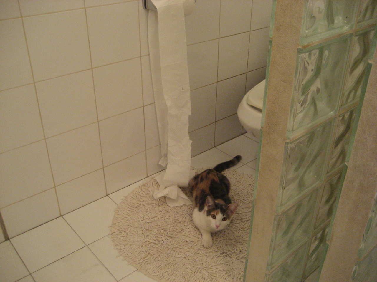 开云体育登录-雄鹿巅峰对决击败热火，东契奇意外成为全场焦点