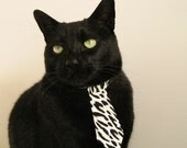 当奇迹成为必然，无名英雄保罗与深圳男篮的涅槃之路