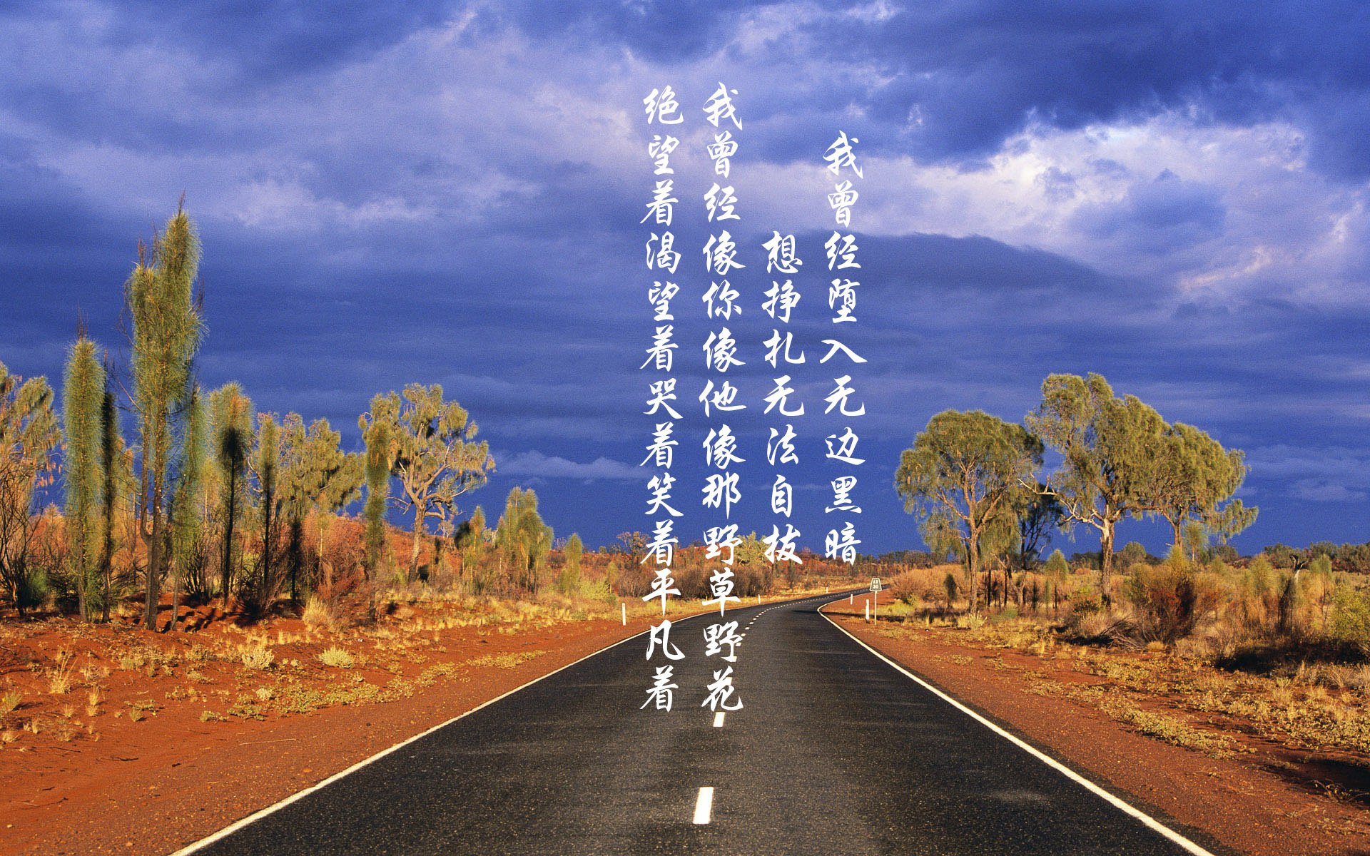 开云体育官网-东方智慧绿茵显，曼城以中国式全局压制巴黎，阿坎吉一锤定音