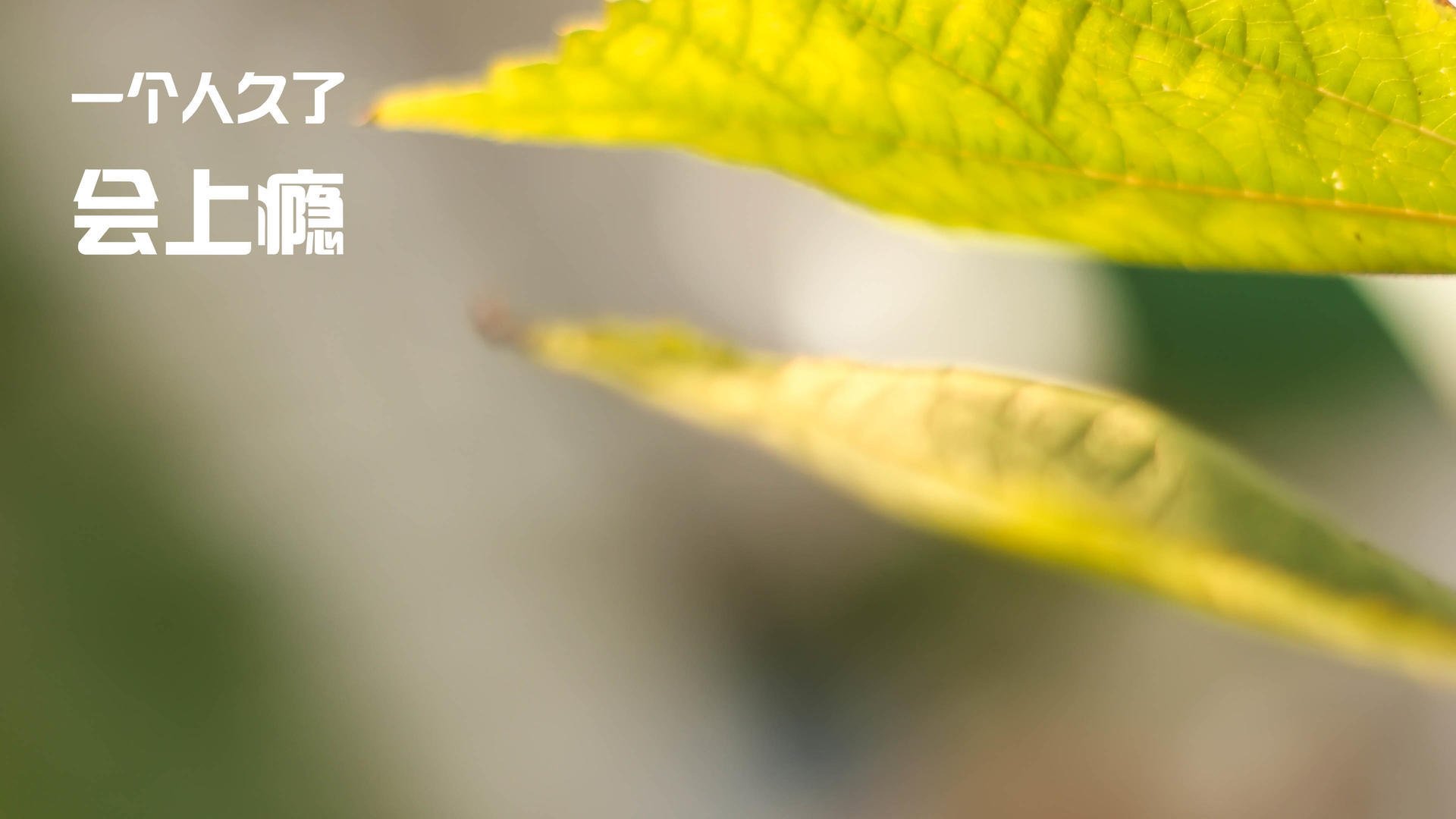 数据与叙事，当乌克兰用非足球的方式赢下阿根廷