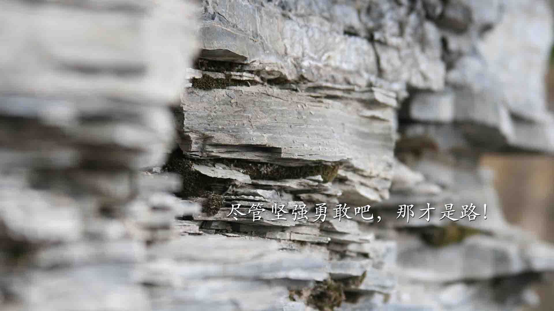 亚特兰大的钥匙，本泽马如何从一场不存在的比赛里带走了委内瑞拉