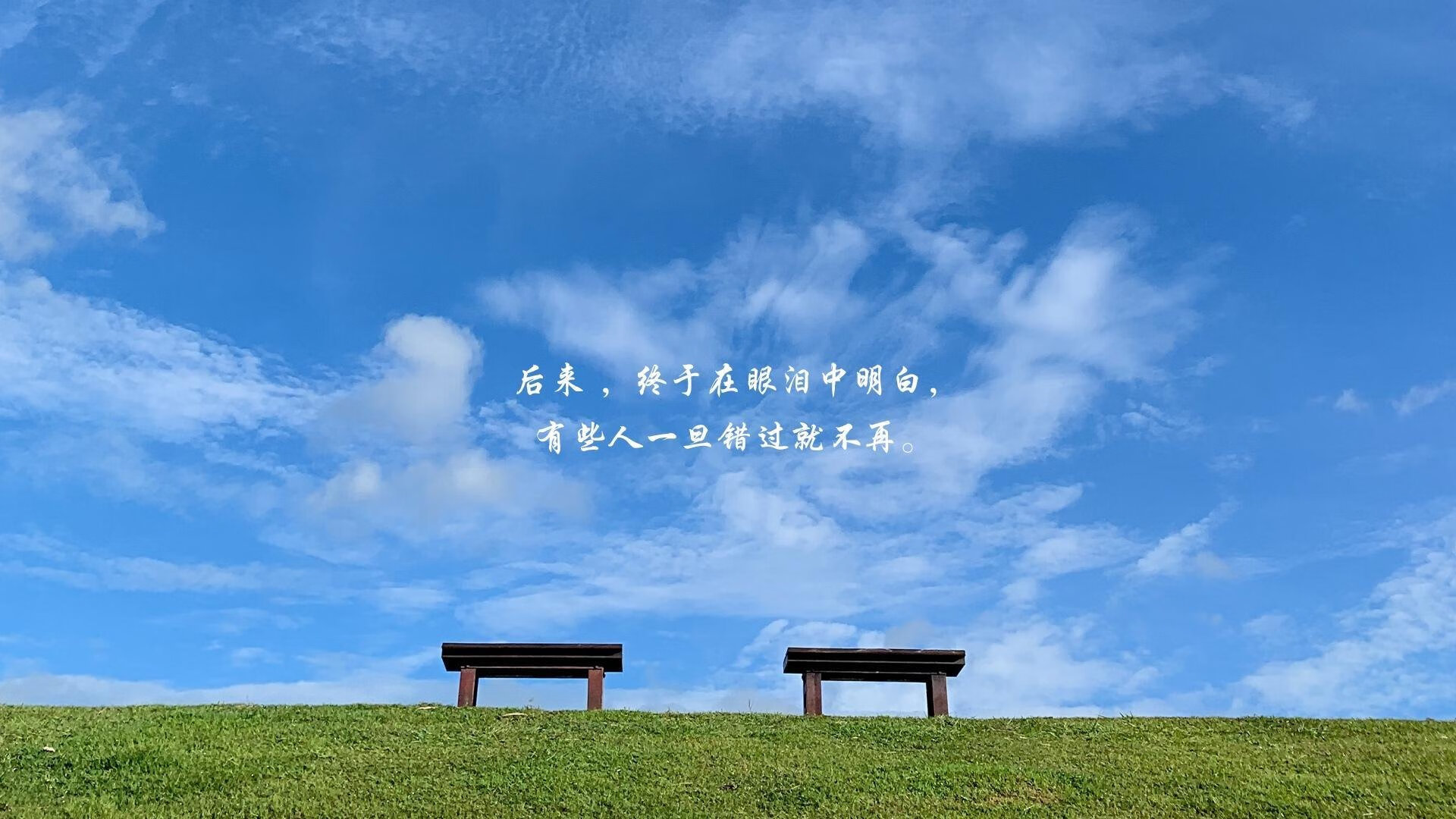 唯一性的荣耀,当匈牙利在2026世界杯C组焦点战中完胜德国,吉鲁掌控全场